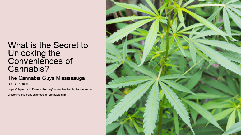 What is the Secret to Unlocking the Conveniences of Cannabis?